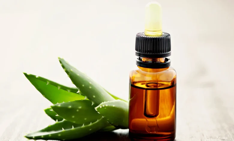 روغن کاکتوس