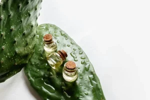 روغن کاکتوس
